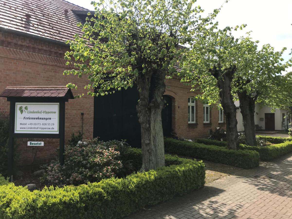 Lindenhof Wohnung 2, Erdgeschoss Vipperow Eksteriør billede